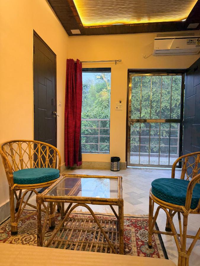 Studio with Nature View